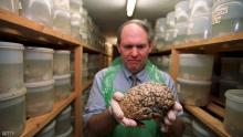 دراسة: لا يوجد مخ ذكري ومخ أنثوي