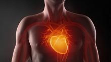 فوائد الصيام على أمراض القلب والأوعية الدموية 