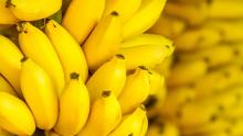 قشور الموز المتعفنة لعلاج سرطان الجلد